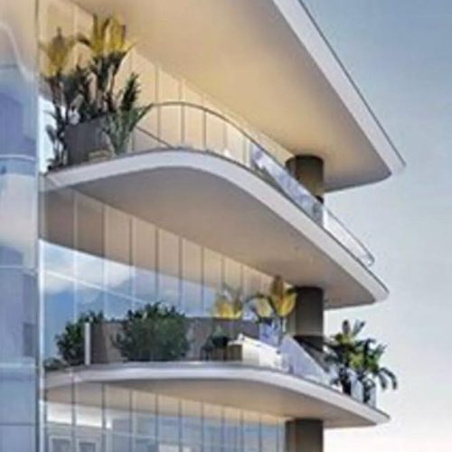 WhatsApp Image 2024-11-26 at 11.53.27